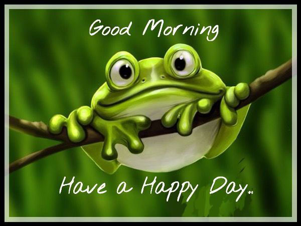 A cute frog with buggy eyes is smiling as it hangs on a tree branch surrounded by the words "Good Morning, Have a Happy Day..."